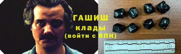 стаф Алексин