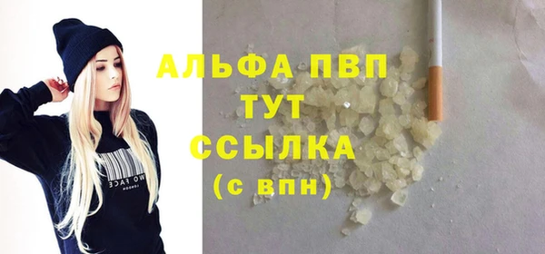 стаф Алексин