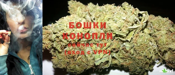 трава Алзамай