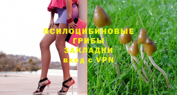 трава Алзамай