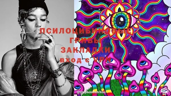 стаф Алексин